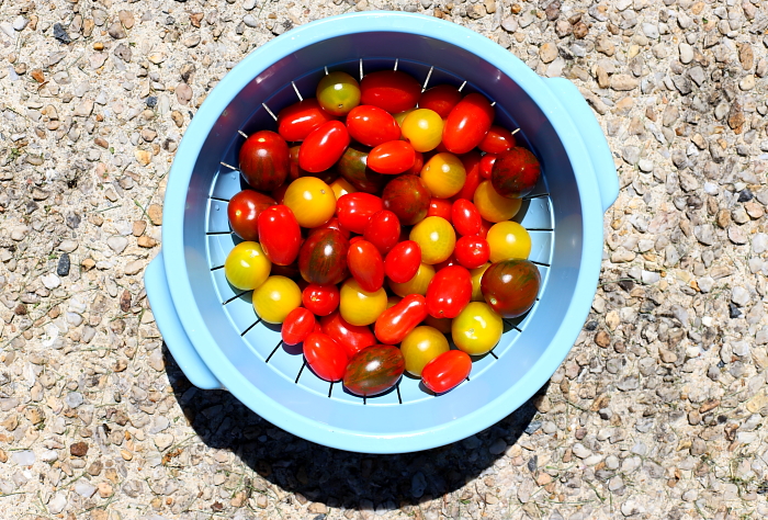 Pomidory - najwspanialsze owoce pod słońcem!
