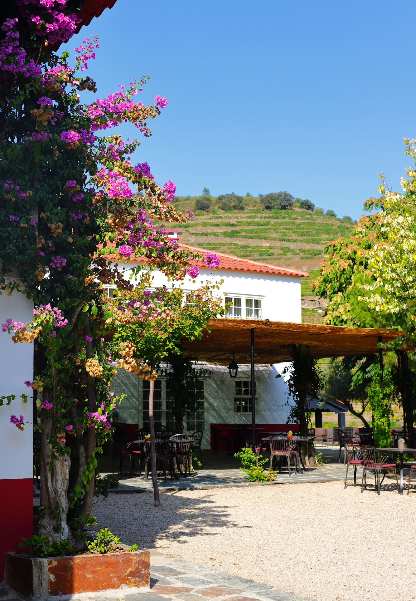 Terracu's Winery Restaurant