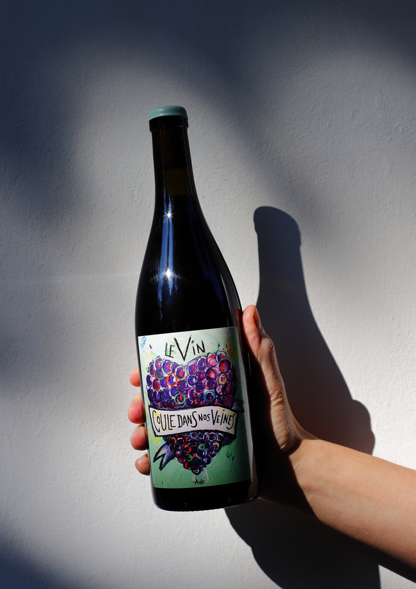 Domaine Giacometti Le vin coule dans nos veines Domaine Giacometti Le vin coule dans nos veines